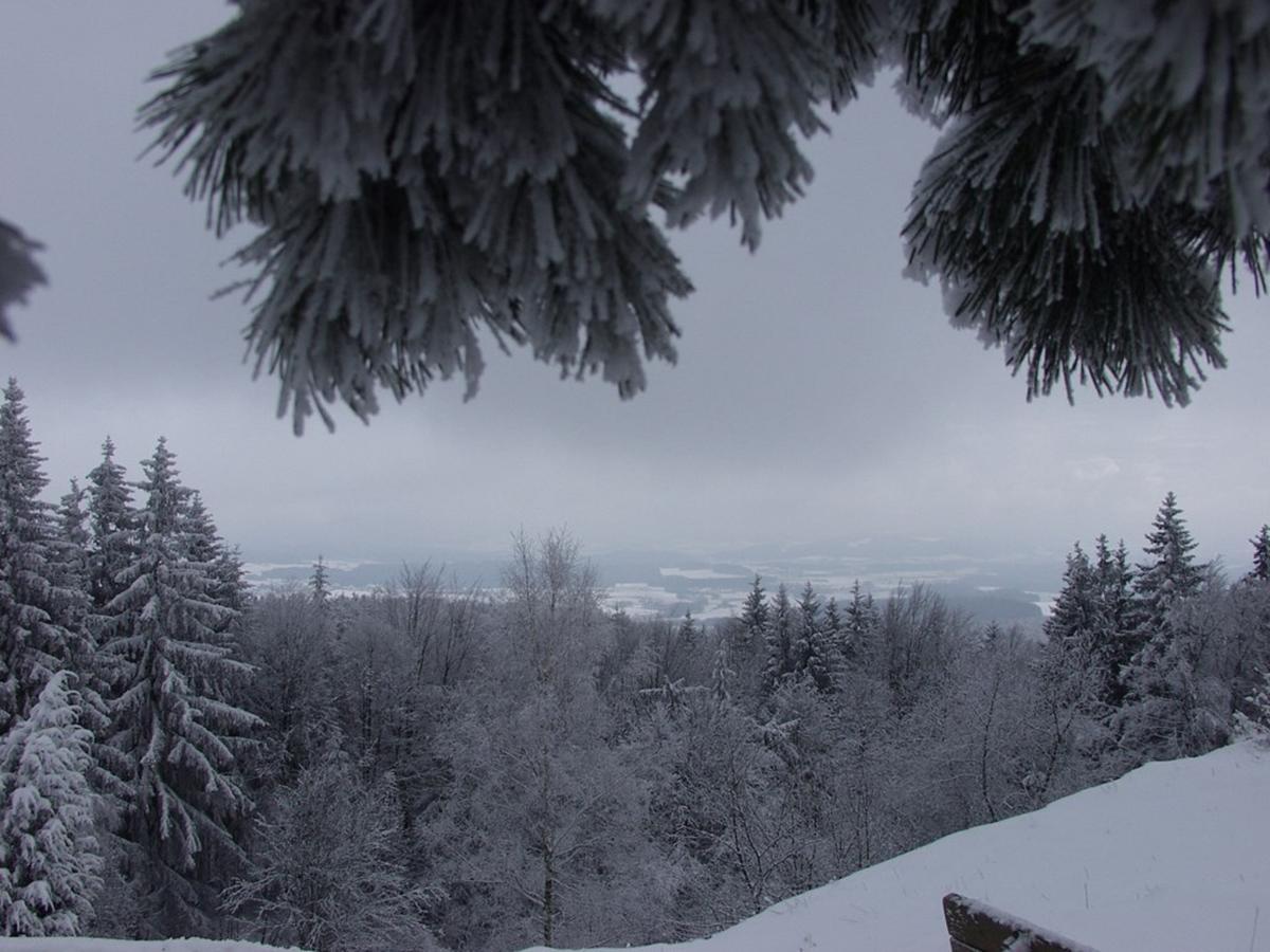Steiner Wirt Tiefenbach (Upper Palatinate) Exterior foto